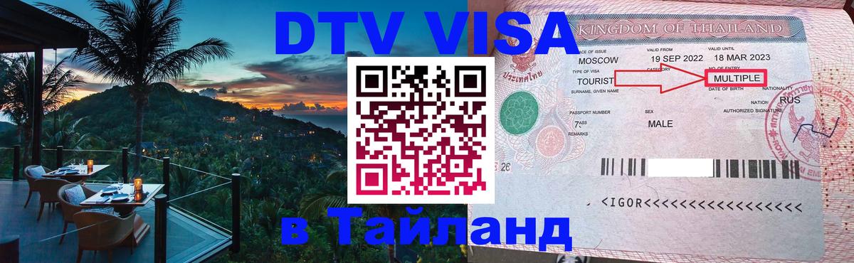 Оформление DTV визы под ключ: стоимость и тарифы, только загранпаспорт - Ноябрьск  10.01.2026 